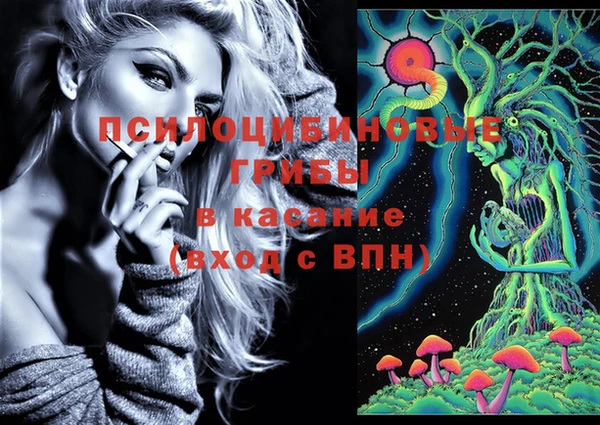 МДПВ Алексин
