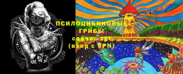 МДПВ Алексин
