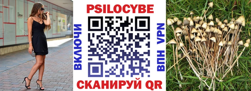 Псилоцибиновые грибы Psilocybe  Ессентукская 